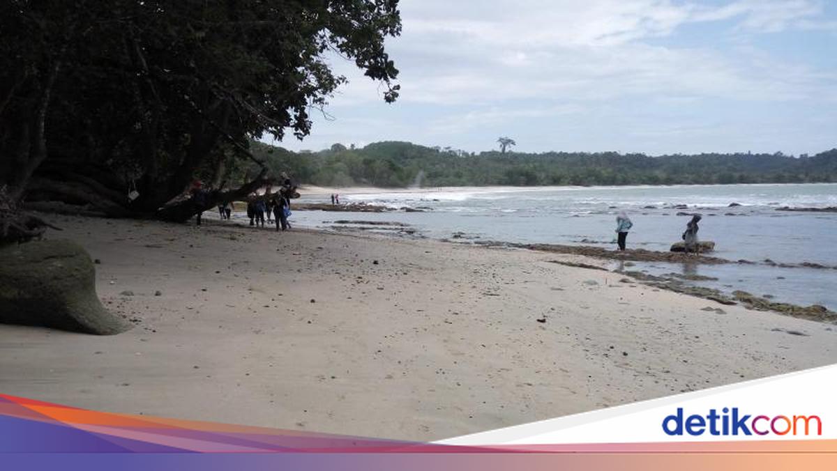 Sorga Bukit Angkasa: Peak Memories Amidst Cilacap's Natural Beauty