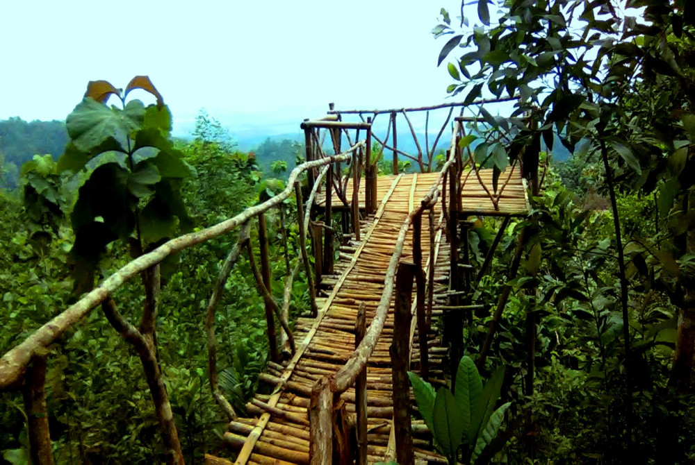 Sorga Bukit Angkasa: Menyambut Pagi di Tengah Alam Cilacap